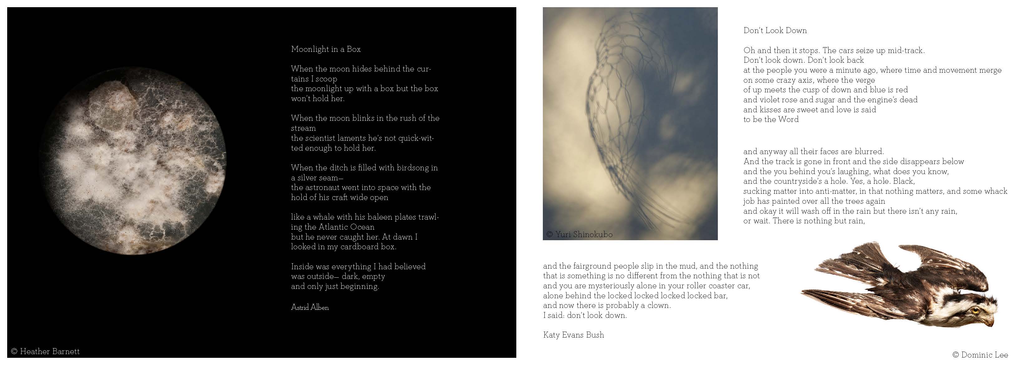 COTW Page 2