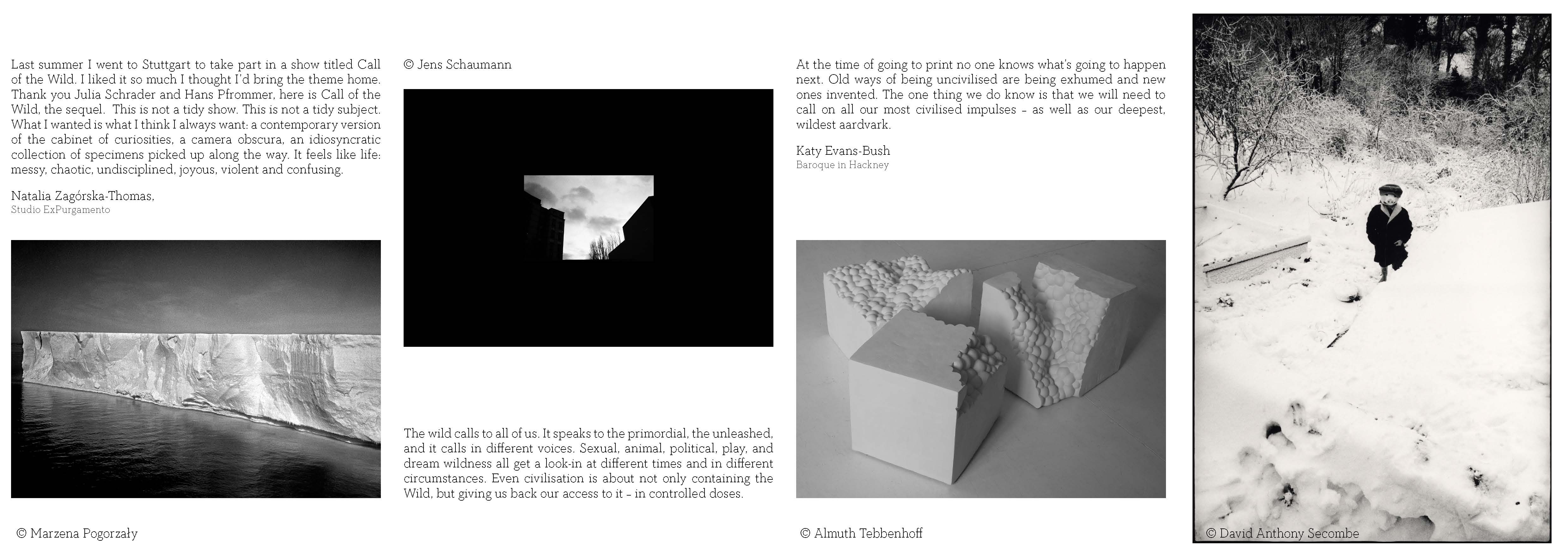 COTW Page 4