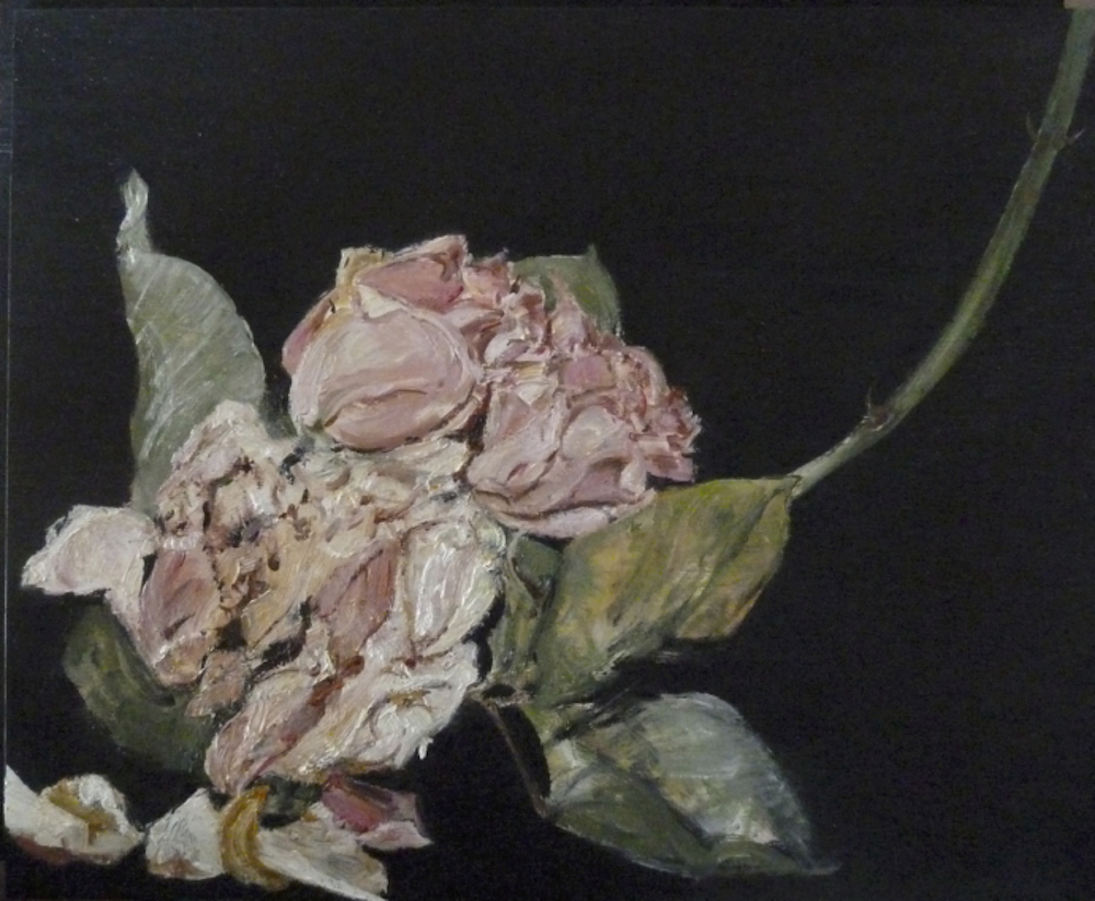 Rose 2