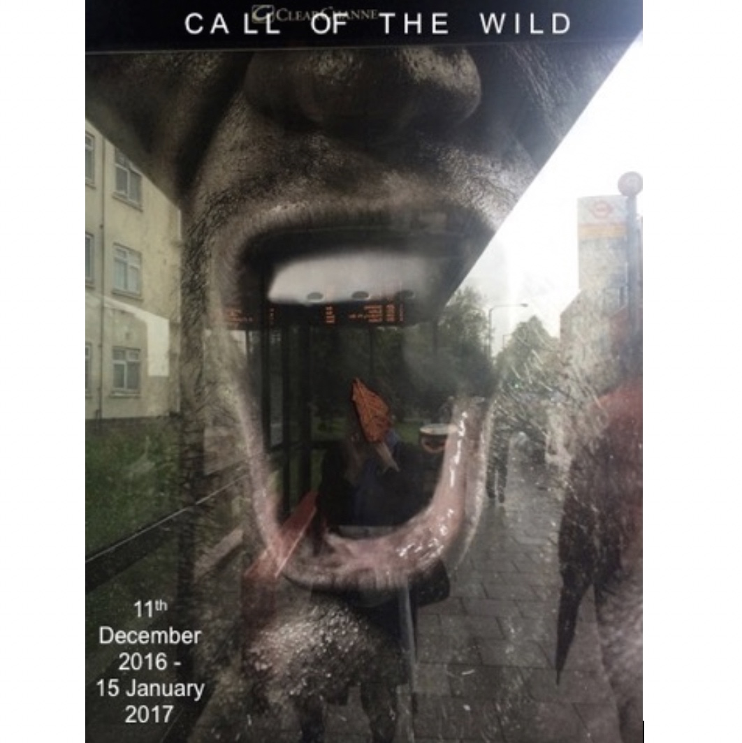 Call Of The Wild